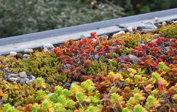 the cost of Barfrestone green roof installation